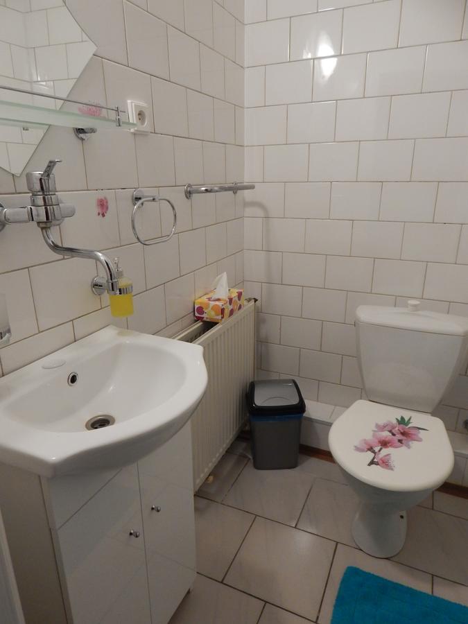 Penzion Dřevěnka Osecna Esterno foto